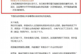 如何查催收资料:全面指南与案例分析 如何查催收资料:全面指南与案例分析